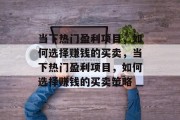 当下热门盈利项目，如何选择赚钱的买卖，当下热门盈利项目，如何选择赚钱的买卖策略