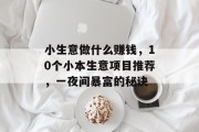 小生意做什么赚钱，10个小本生意项目推荐，一夜间暴富的秘诀