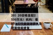 新能源领域再迎利好，化工ETF（516020）20日吸金超2500万元！机构：看好化工行业资源景气及供需格局修复