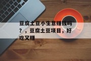 豆腐土豆小生意赚钱吗？，豆腐土豆项目，好吃又赚