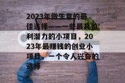 2023年做生意的最佳选择——一些最具盈利潜力的小项目，2023年最赚钱的创业小项目，一个令人兴奋的选择