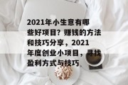 2021年小生意有哪些好项目？赚钱的方法和技巧分享，2021年度创业小项目，寻找盈利方式与技巧
