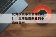 北海投资小生意赚钱吗？，北海投资创业的小商机分析