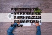 贵州农村的致富之路——探索农村赚钱新途径，贵州农村的致富之路，探索新途径实现农村经济繁荣