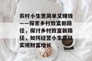 农村小生意简单又赚钱——探索乡村致富新路径，探讨乡村致富新路径，如何经营小生意以实现财富增长