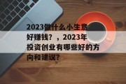 2023做什么小生意好赚钱？，2023年投资创业有哪些好的方向和建议？