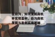 在白沟，如何发掘商机并实现盈利，白沟商机发掘与盈利实现策略