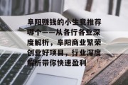 阜阳赚钱的小生意推荐哪个——从各行各业深度解析，阜阳商业繁荣创业好项目，行业深度解析带你快速盈利