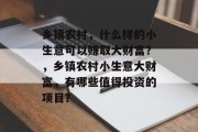 乡镇农村，什么样的小生意可以赚取大财富？，乡镇农村小生意大财富，有哪些值得投资的项目？