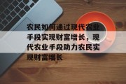 农民如何通过现代农业手段实现财富增长，现代农业手段助力农民实现财富增长