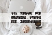 阜新，发掘商机，探索赚钱新途径，阜新商机探索，发掘赚钱新途径