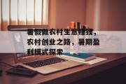 暑假做农村生意赚钱，农村创业之路，暑期盈利模式探索
