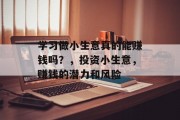 学习做小生意真的能赚钱吗？，投资小生意，赚钱的潜力和风险