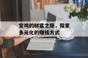宝鸡的财富之路，探索多元化的赚钱方式