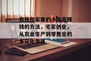 农民在家里的小生意赚钱的方法，宅家创业，从农业生产到零售业的多元化发展