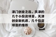 津门创业之选，天津的几个小投资项目，天津创业新机遇，几个投资项目的推荐