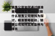 销售公司如何通过精准策略实现盈利——以做什么销售公司赚钱为探讨，精准策略驱动，销售公司如何实现盈利与增长