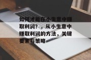 如何才能在小生意中赚取利润？，从小生意中赚取利润的方法，关键要素与策略