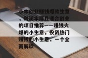 小本创业赚钱爆款生意，利润丰厚且适合创业的项目推荐——赚钱火爆的小生意，投资热门赚钱的小生意，一个全面解读
