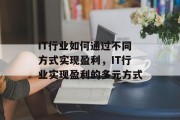 IT行业如何通过不同方式实现盈利，IT行业实现盈利的多元方式