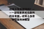 远安小生意赚钱吗？——一部探索其成功案例的全景图，远安小生意，成功案例与展望