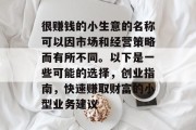 很赚钱的小生意的名称可以因市场和经营策略而有所不同。以下是一些可能的选择，创业指南，快速赚取财富的小型业务建议
