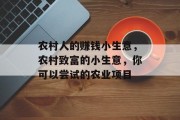 农村人的赚钱小生意，农村致富的小生意，你可以尝试的农业项目