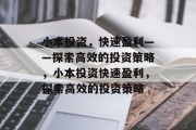 小本投资，快速盈利——探索高效的投资策略，小本投资快速盈利，探索高效的投资策略