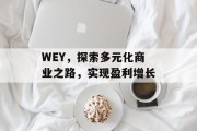 WEY，探索多元化商业之路，实现盈利增长