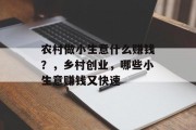 农村做小生意什么赚钱？，乡村创业，哪些小生意赚钱又快速