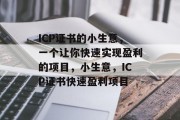 ICP证书的小生意，一个让你快速实现盈利的项目，小生意，ICP证书快速盈利项目