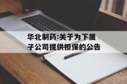华北制药:关于为下属子公司提供担保的公告