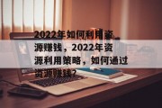2022年如何利用资源赚钱，2022年资源利用策略，如何通过资源赚钱？