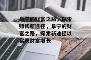 阜宁的财富之路，探索赚钱新途径，阜宁的财富之路，探索新途径以实现财富增长
