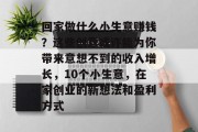 回家做什么小生意赚钱？这些创意或许能为你带来意想不到的收入增长，10个小生意，在家创业的新想法和盈利方式