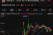 “10倍股”正丹股份突然终止定增！曾在大涨后遭实控人减持
