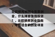 北欧移民如何小生意创业，什么项目值得投资？，北欧移民创业指南，寻找适合的创业项目