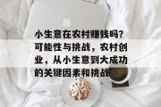 小生意在农村赚钱吗？可能性与挑战，农村创业，从小生意到大成功的关键因素和挑战