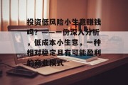 投资低风险小生意赚钱吗？——一份深入分析，低成本小生意，一种相对稳定且有可能盈利的商业模式
