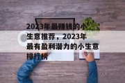 2023年最赚钱的小生意推荐，2023年最有盈利潜力的小生意排行榜