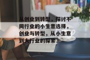 从创业到转型，探讨不同行业的小生意选择，创业与转型，从小生意到大行业的探索
