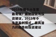 2019年哪个小生意最有钱？最新趋势与投资建议，2019年小生意盈利模式，最具潜力的趋势和投资建议