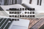 现在的小生意有哪些赚钱的途径？，中小企业如何通过多种方式实现盈利增长