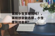 莱阳小生意赚钱吗？，莱阳创业新选择，小生意如何盈利?