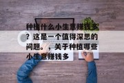 种植什么小生意赚钱多？这是一个值得深思的问题。，关于种植哪些小生意赚钱多