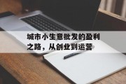城市小生意批发的盈利之路，从创业到运营