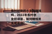 农村好做的小生意赚钱吗，2022年农村创业好项目，如何赚钱并实现成功?