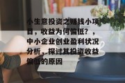 小生意投资之赚钱小项目，收益为何偏低？，中小企业创业盈利状况分析，探讨其投资收益偏低的原因