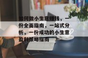 如何做小生意赚钱，一份全面指南，一站式分析，一份成功的小生意盈利策略指南
