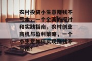 农村投资小生意赚钱不亏本，一个全面的探讨和实践指南，农村创业商机与盈利策略，一个小生意如何实现赚钱不亏损?